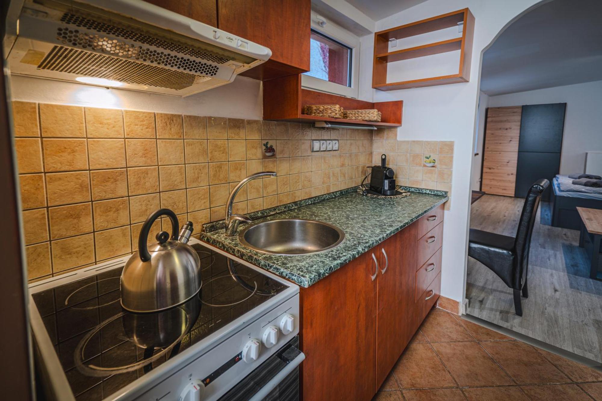Apartmany V Podzamci 纳霍德 外观 照片