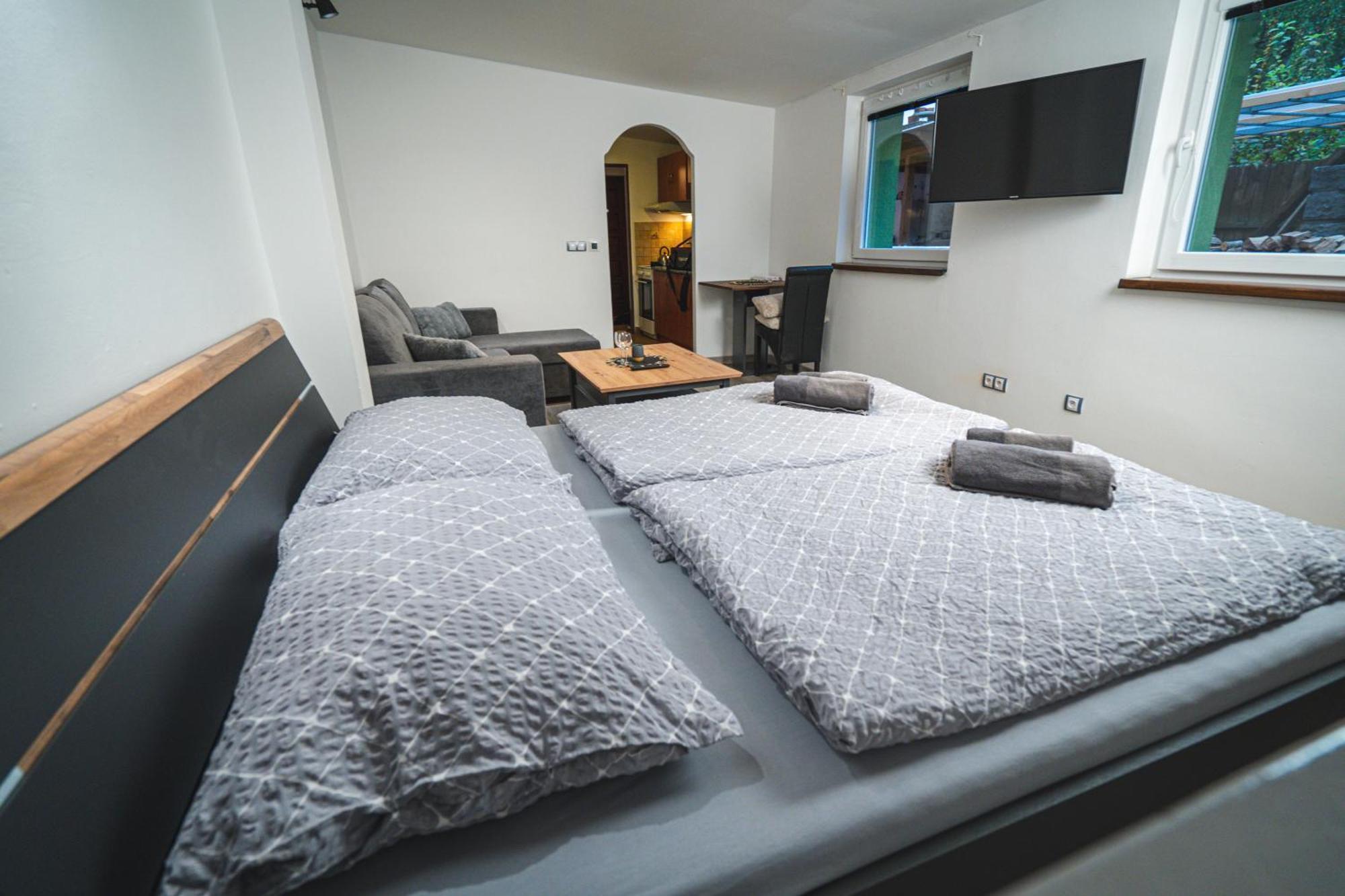 Apartmany V Podzamci 纳霍德 外观 照片